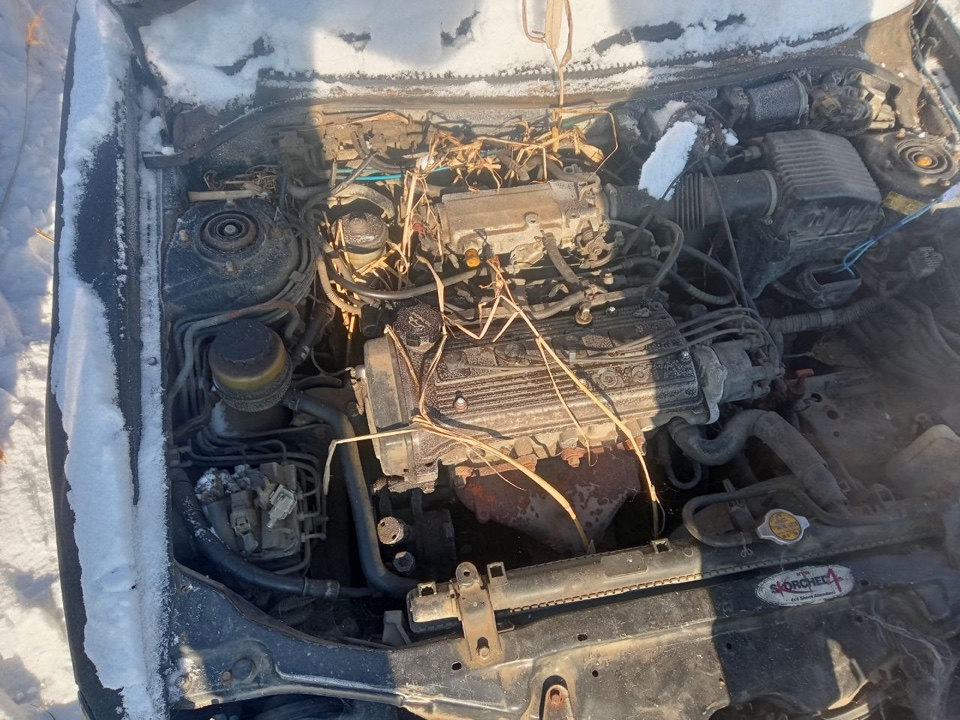 Торги №1660529 Лот №4030473 Автомобиль марки Toyota Cynos, г/н-отсутствует - торги по банкротству 1